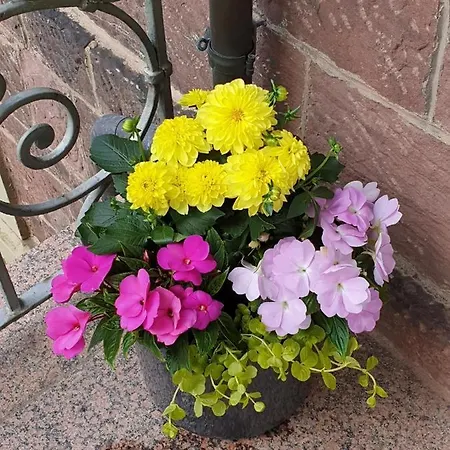 Haus Haeselbarth 公寓 *