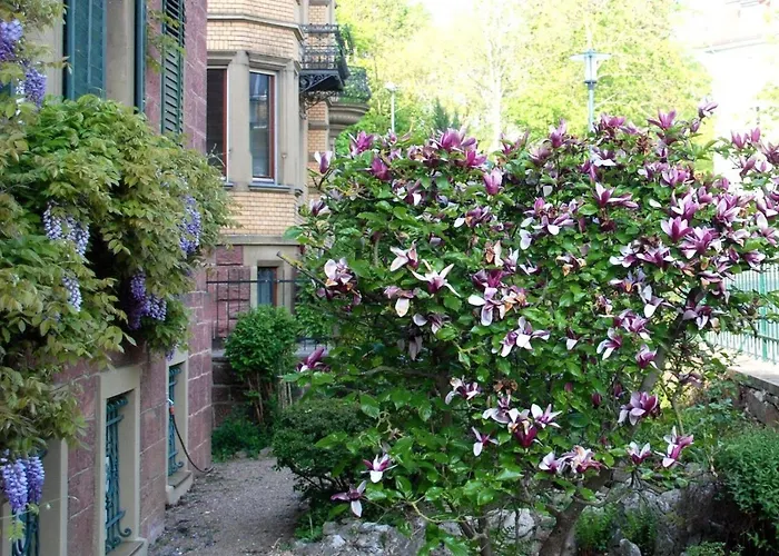 Haus Haeselbarth * Bad Kissingen