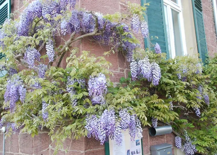 Haus Haeselbarth *